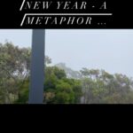 Virginia Trioli Instagram - There’s a beach in there somewhere … Isn’t this the perfect New Years Day metaphor for all the hopeful starts of the last few years? An optimistic leap into the unclear and the unknown and then the mist gradually lifts. I’ve always loved the sense of absolution, of a “get out jail free” card of a new year: a chance to start again, a new blank page. Of course life and life’s choices don’t spin on the turn of one day, one calendar page, but it’s less arbitrary than that, isn’t it? We mark out our days in years, and our own personal evolution in decades so this 2023 is going to be momentous for those hoping to get out from under three pretty tough years, and those who are seeking change or even just a little less uncertainty. For me, I’m utterly uncertain about what’s behind this fog! And my 2023 challenge will be about making my peace with that uncertainty! Thanks for your great company last year and I hope this one too, either here or on radio or in my columns and elsewhere. And remember - after the fog, always the most astonishing blue skies. #happynewyear #hny #2023 #2023goals #community Anglesea, Victoria