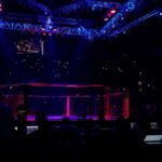 Vivianne Araújo Instagram - Noite de UFC #ufcbrasil #ufcsaopaulo Ibirapuera