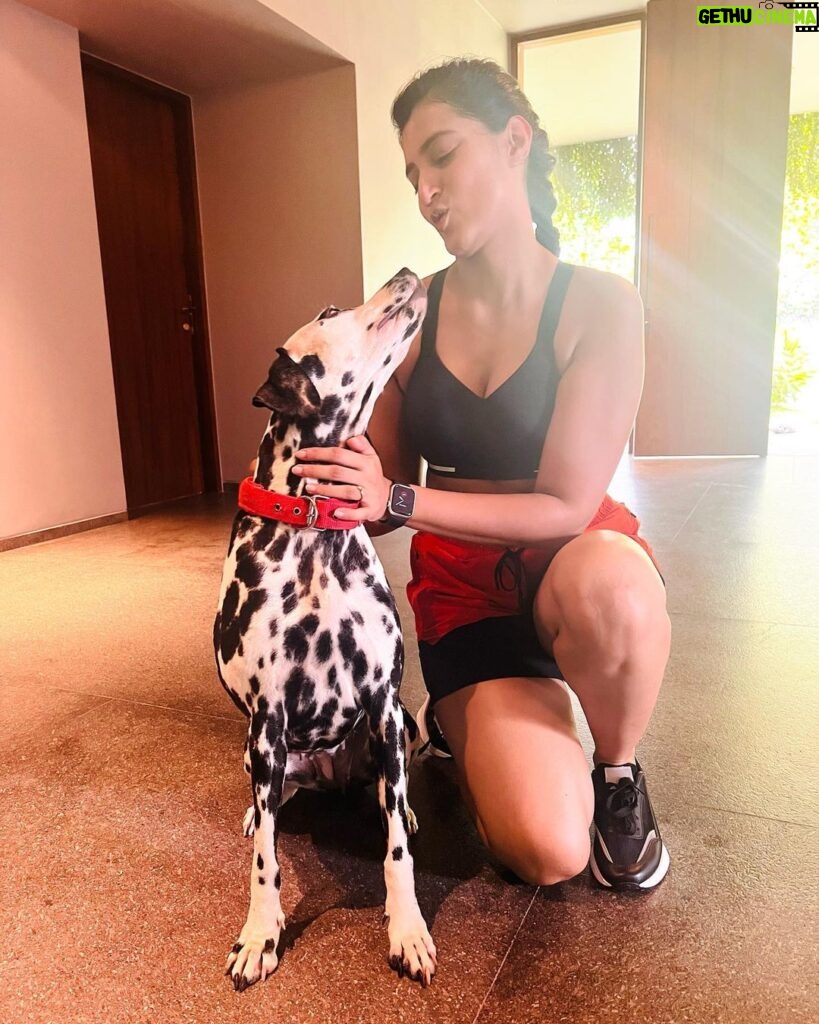 Viviya Santh Instagram - Meet “pebble” cutie 🥰🥰 #dalmatian #dogoftheday #pebbles ECR