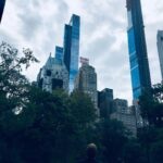 Wayne Rainey Instagram – NYC Central Park South East Corner, NYC