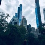 Wayne Rainey Instagram - NYC Central Park South East Corner, NYC