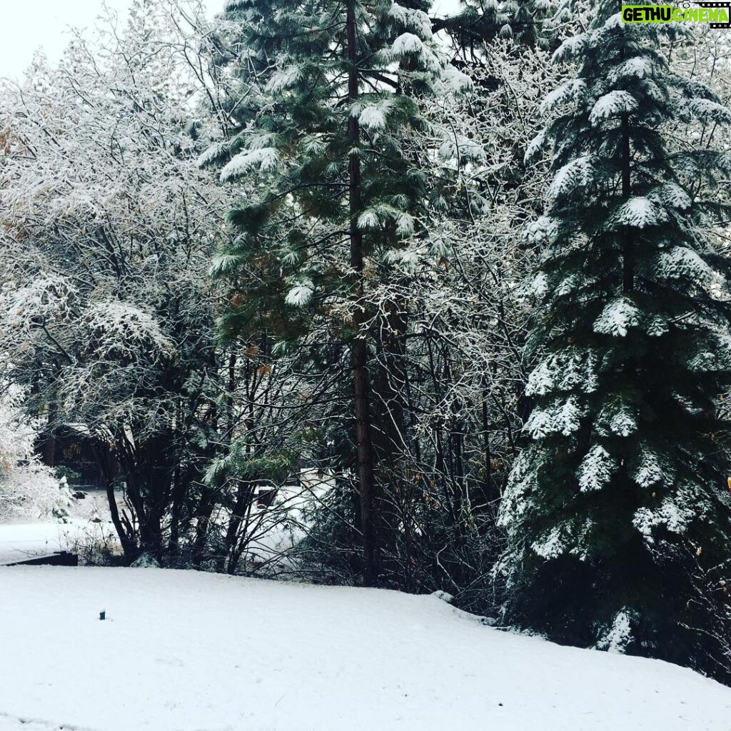 Wayne Rainey Instagram - Thanksgiving morning in Lake Tahoe.