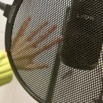 Wendy Instagram - Recording🎶
