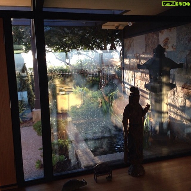 Wes Craven Instagram - Afternoon sun, Casa Craven/Labunka.