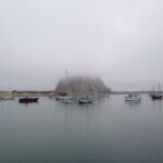 Wes Craven Instagram - Morro Bay in fog. Just arrived for two days of @audubonca board meetings and birding. Very geekily exciting!
