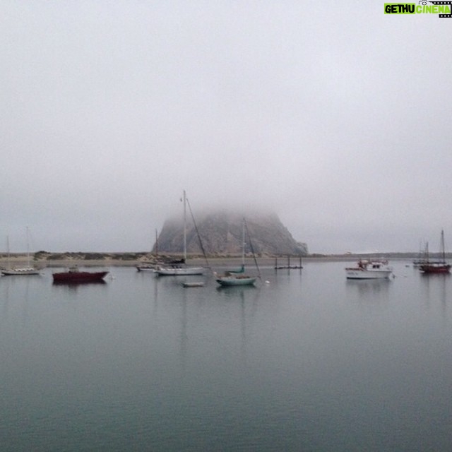 Wes Craven Instagram - Morro Bay in fog. Just arrived for two days of @audubonca board meetings and birding. Very geekily exciting!