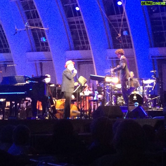 Wes Craven Instagram - Elvis is in the house. #elviscostello #hollywoodbowl