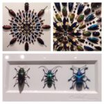 Wes Craven Instagram – A few pieces of #bug #art on display. Enjoy.