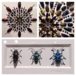 Wes Craven Instagram - A few pieces of #bug #art on display. Enjoy.