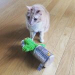 Wes Craven Instagram – Cinnamon looking wistful with Oscar the Grouch. #catsofinstagram #cats