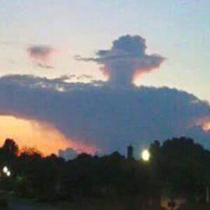 Wes Craven Instagram - What do you see???
(Photo by Twitter user @ChristineMachan)