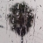 Wes Craven Instagram – Palm out window. #rainyday #losangeles