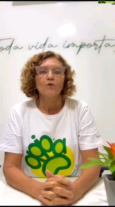 Whindersson Nunes Instagram - 💛 Pessoal, não há nada mais gratificante do que bater uma meta que parecia impossível. E isso só foi possível porque vocês não desistiram de nós. 📍 Hoje estamos emocionados de alegria, mas passamos por dias dificílimos onde chegamos a achar que seria o fim, pois não tínhamos mais condições de seguir acumulando contas. ▶️ Todos sabem que não temos ajuda do poder público, então é um desafio muito grande manter toda a estrutura do abrigo funcionando, com as poucas doações que temos recebido, de vocês e de um grande parceiro e amigo nosso, que hoje consideramos nosso padrinho, querido @whinderssonnunes ♥️ Agradecemos também a cada um que nos ajudou nessa campanha. A meta só foi alcançada porque existe essa corrente do bem formada por pessoas que abraçam a causa animal junto com a gente. Obrigada! A família Apipa agradece de coração a cada um de vocês. Pix: apipa.bbrasil@gmail.com #apipa #meta #correntedobem