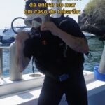 Whindersson Nunes Instagram - Tubarão nunca andou num jato moço, é um menino 🛩️🦈🤣