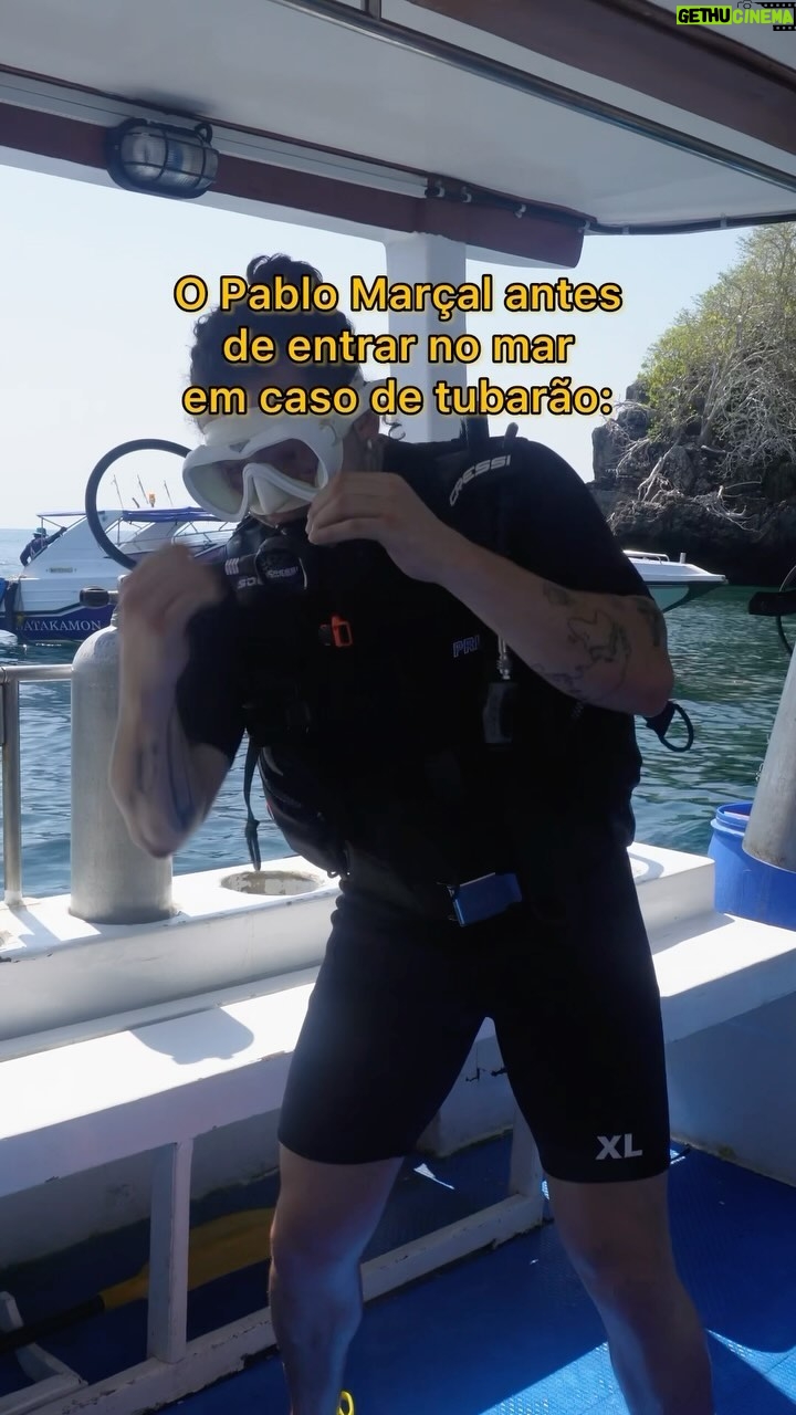Whindersson Nunes Instagram - Tubarão nunca andou num jato moço, é um menino 🛩️🦈🤣