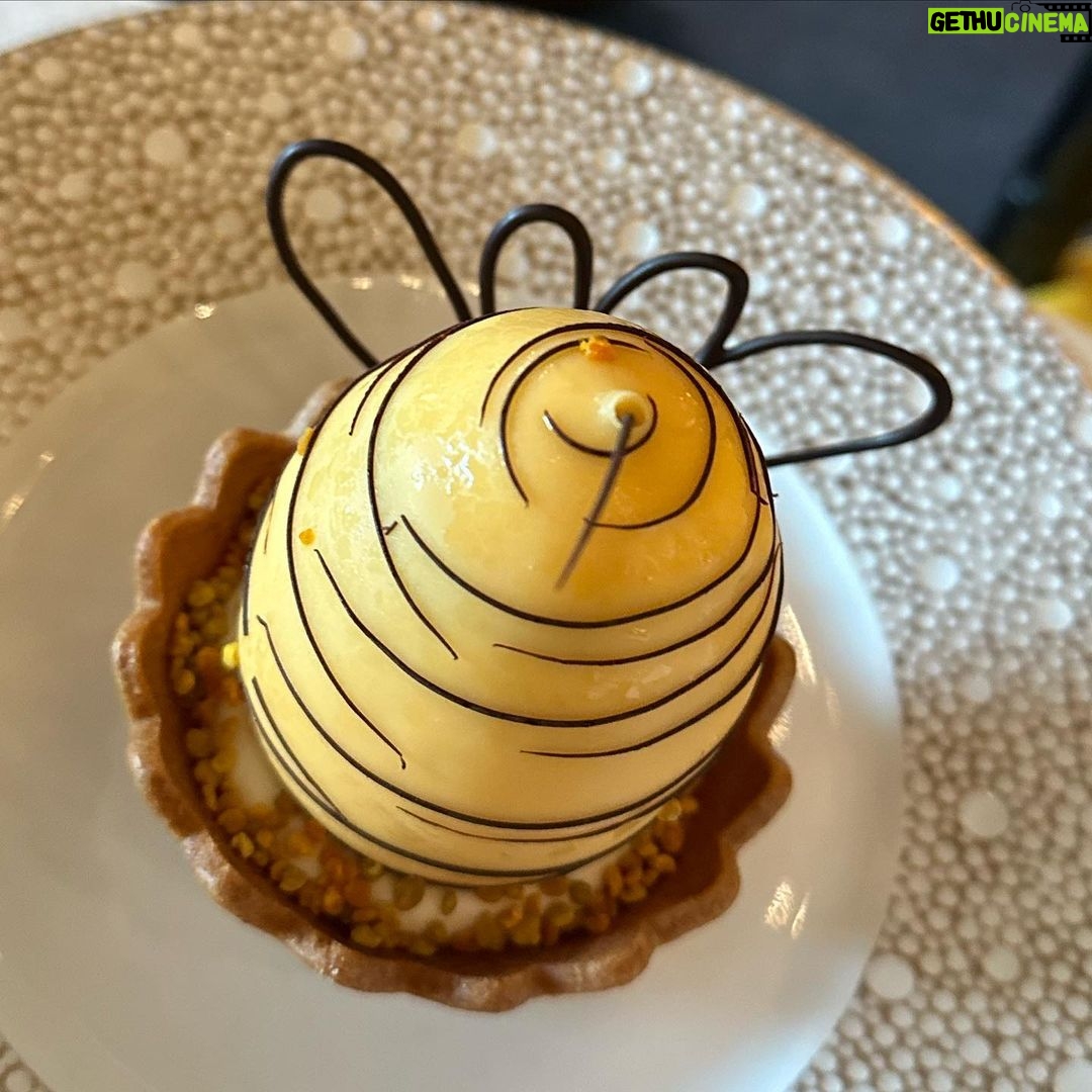 Will Buxton - 3.2K Likes - An absolutely wonderful afternoon at the Four Seasons Resort here in Dubai, courtesy of award winning, world renowned pastry chef extraordinaire @nicolas_lambert, in which we had the absolute treat of trying some of his finest and most delicious creations.
A magical time and an unforgettable gastronomic delight.
I am now 85% cake
Thank you my friend. And see you soon x