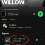 Will Smith Instagram - @willowsmith is the first person in the family to have a song with a BILLION streams!!