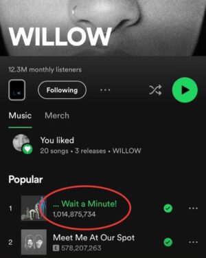 Will Smith Instagram - @willowsmith is the first person in the family to have a song with a BILLION streams!!