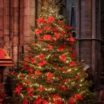 William, Prince of Wales Instagram - A very special Carol Service, coming soon. Together At Christmas with @earlychildhood is returning to Westminster Abbey on Friday 8 December. This will be a special moment to thank all those who do so much to support babies, young children and families in our communities across the UK. We can’t wait for you to join us too - tune in on @ITV, Christmas Eve