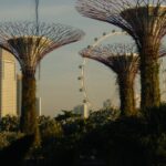 William, Prince of Wales Instagram - 👋 Hello Singapore 🇸🇬💚 It’s fantastic to be back in Singapore for this year’s Earthshot Prize ceremony, after eleven years. Singapore’s bold vision to be a leader for environmental innovation sets the standard for others to follow. I am grateful to the Singaporean people for hosting us this week. Let us all take inspiration from the fantastic work being done here as we celebrate this year’s Earthshot Prize finalists. W