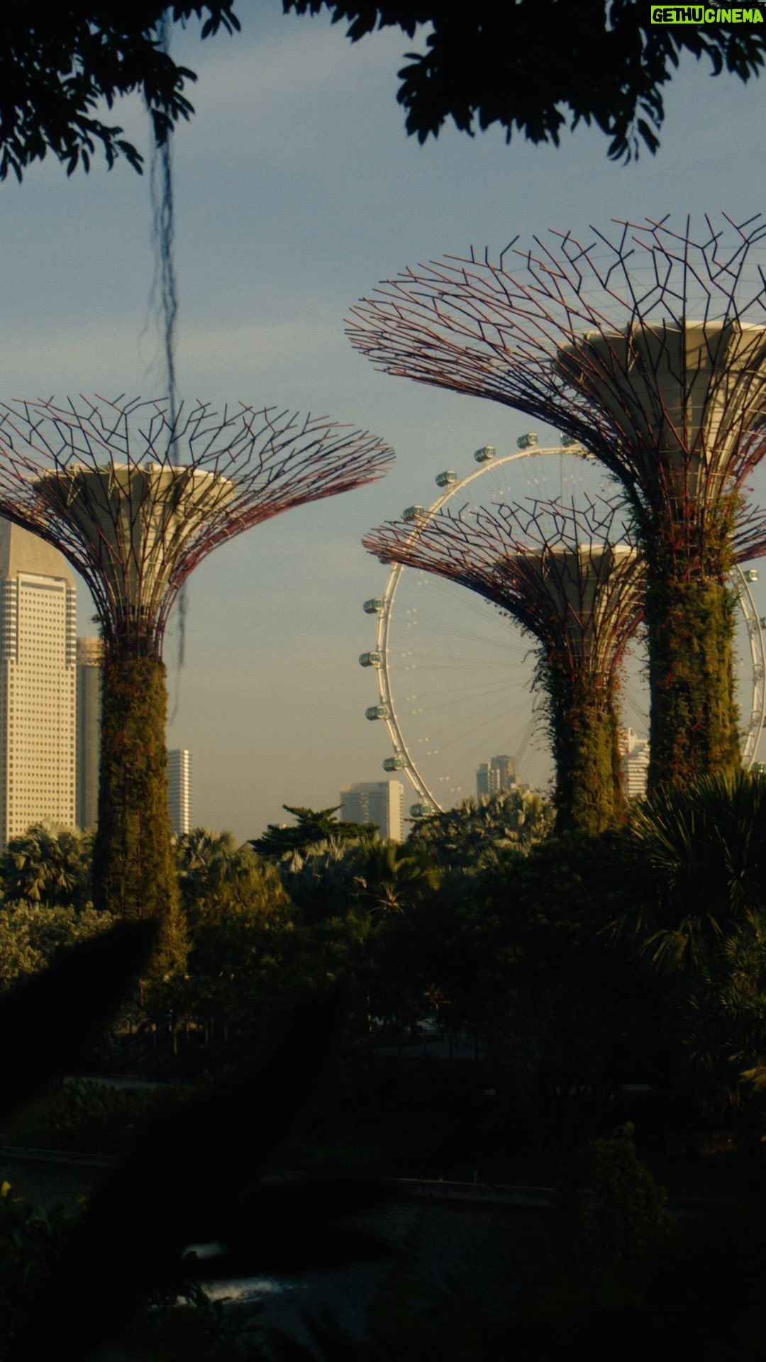 William, Prince of Wales Instagram - 👋 Hello Singapore 🇸🇬💚 It’s fantastic to be back in Singapore for this year’s Earthshot Prize ceremony, after eleven years. Singapore’s bold vision to be a leader for environmental innovation sets the standard for others to follow. I am grateful to the Singaporean people for hosting us this week. Let us all take inspiration from the fantastic work being done here as we celebrate this year’s Earthshot Prize finalists. W
