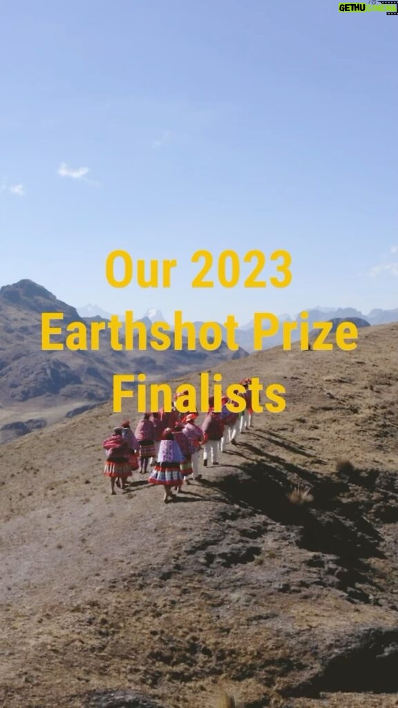 William, Prince of Wales Instagram - Introducing our 2023 @EarthshotPrize Finalists Congratulations to this latest cohort of groundbreaking solutions to protect and restore the planet - each one a true inspiration. It’s such a pleasure to have them on board. New York City