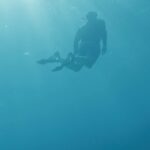 William, Prince of Wales Instagram - This is the @earthshotprize in action! 🌍💚 See how @coralvitareefs is regrowing our world’s dying reefs and restoring eco-systems 🪸🤿 Watch the full video on YouTube: link in bio Coral Vita