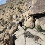 William Li Instagram - We're finally leaving the house a bit so it's time to update before Christmas Hopefully much more to come 📸 : @kkatamina Joshua Tree National Park