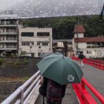 William Li Instagram - Hakone was a beautiful place like straight out of an anime The food was very traditional I was told but what was astounding was the ponzu sauce. They must lace this with something because it was absolutely delicious