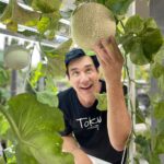 Willy McIntosh Instagram - เมล่อนในระบบปลูกของผม กลมโต น่าทานไหมครับทุกคน #AgrowPlus #agritech #อโกรว์พลัส #hydroponics #smartfarming #ระบบปลูกพืช #ปลูกผักในคอนโด #ไฟLEDปลูกพืช #ปลูกพืชไร้ดิน #เสนาหอย #WillieMcIntosh #วิลลี่แมคอินทอช