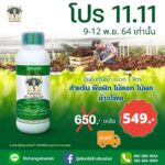 Willy McIntosh Instagram - 📣 โปร 11.11 เพียง 4 วันเท่านั้นครับ 📌9-12 พฤศจิกายน 64 🥬ปุ๋ยอินทรีย์ชนิดน้ำ สำหรับพืชผัก ไม้ดอก ไม้ผล ข้าวโพด 🥬ใช้ผสมน้ำ ปริมาณ 40-50 ซีซี ต่อน้ำ 20 ลิตร 🥬เป็นปุ๋ยอินทรีย์ 100% ใช้ง่าย บำรุงพืชทางใบ ทำให้พืชดูดซึมไปใช้ได้ง่าย เห็นผลเร็ว 📱ส่งข้อความเข้ามาทางเฟสบุ๊ค “ปุ๋ยอินทรีย์ช้างสินอนันต์” หรือไลน์ @changsinanan #changsinanan #ปุ๋ยอินทรีย์