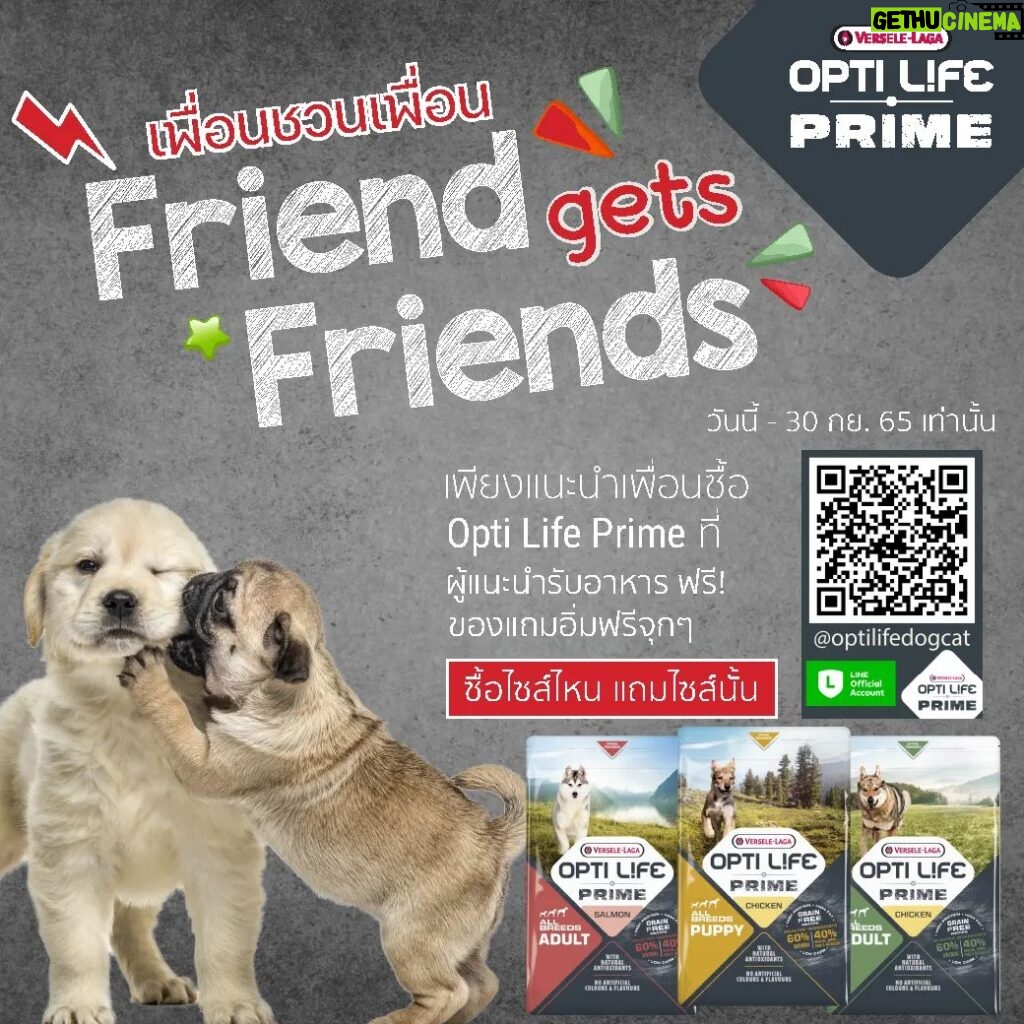 Willy McIntosh Instagram - 🎉#โปรดีบอกต่อ #เพื่อนชวนเพื่อน ซื้ออาหาร Opti Life Prime สูตรใดก็ได้ ขนาดใดก็ได้ เพื่อสุนัขสุภาพดีของเพื่อนแล้ว เพื่อนที่แนะนำจะได้รับ อาหารสุนัข Optilife prime ตามขนาดที่เพื่อนซื้อ ฟรี ทันที 1 ถุง 💖เฉพาะการสั่งซื้อของเพื่อนใหม่ใน Line official เท่านั้น @Optilifedogcat หรือ คลิ๊กมาที่ https://line.me/R/ti/p/@653ojqmx 💖วันนี้ - 30 กันยายน 2565 เท่านั้น 💖สูตรในการแถมมอบให้เป็นไปตามที่ผู้จำหน่ายกำหนด 🎉 เลือกคุณภาพ เลือกอาหารสุนัขออพติไลฟ์ไพรม์ จากเบลเยียม เต็มเปี่ยมด้วยวัตถุดิบพรีเมียม #เสนาหอย #อาหารหมา #Optilifedogandcat #สุขภาพสุนัขดีต้องOptilife #หมากินยากต้องOptilife #อาหารสุนัขgrainfree #อาหารสุนัขเทียบเท่าBarf #วิลลี่แมคอินทอช #เสนาหอย
