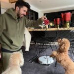 Willyrex Instagram - Hermes y Zeus enseñándome sus últimos trucos mientras #roborocks7 me deja la casa espectacular @roborockglobal #roborock