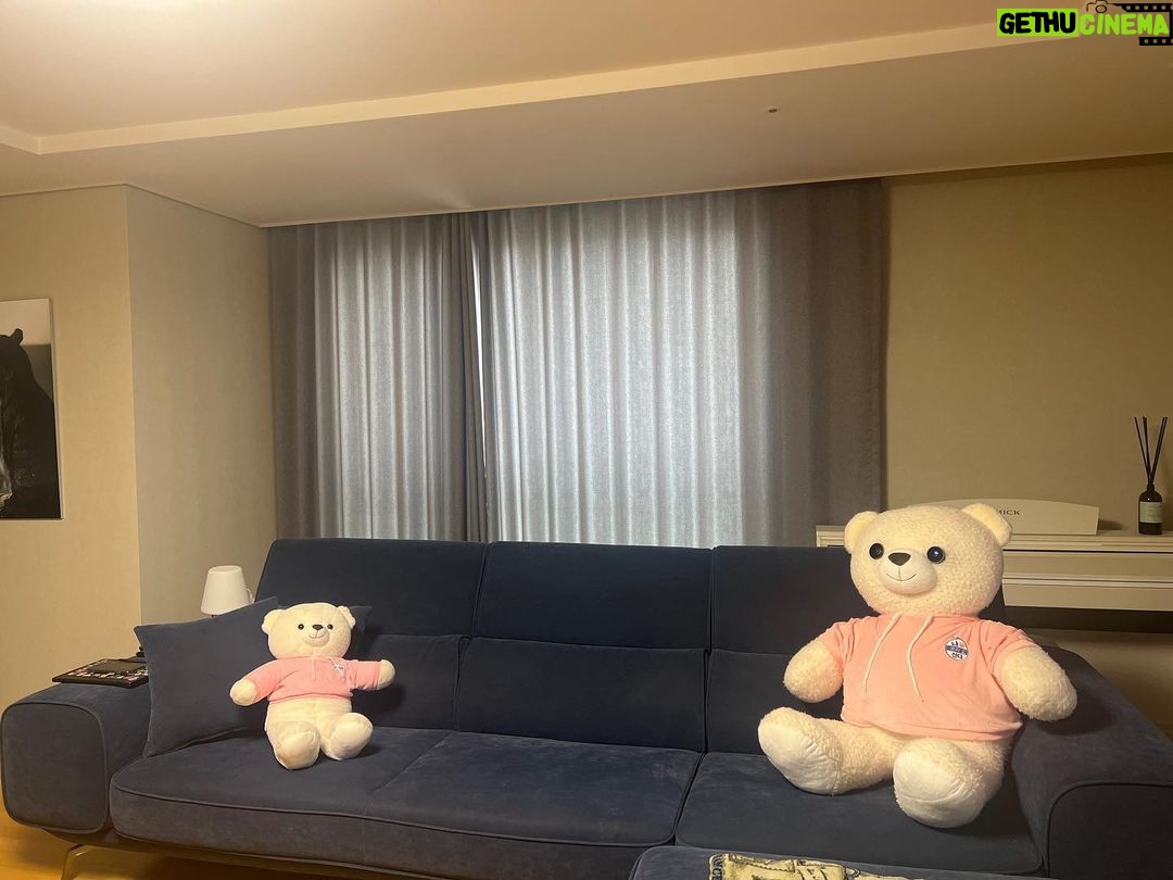 Woo Do-hwan Instagram - 다음주 나혼자산다 에서 만나요🐻🐻🐻 윌슨 하이
