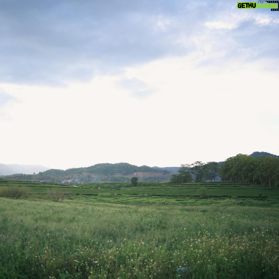Woranuch Bhirombhakdi Instagram - Singha Park Chiang Rai สิงห์ปาร์ค เชียงราย