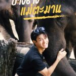Worrachai Sirikongsuwan Instagram - แปร๊นนนนนนนนน 💕 #ช้าง ช้างๆๆๆๆๆๆ น้องเคยเห็นช้างอะป่าว 🤣🐘 วันนี้พี่เทปจะพาไปดู #ปางช้างแม่ตะมาน กันนนน 📸 อาทิตย์นี้ห้ามพลาดรอติดตามด้วยน้า 💕😎🎬 #จอยเดย์ ทริปนี้พี่เทปจะพาทุกคนไปเที่ยวที่ไหน รอติดตามด้วยนะคะ ⛰🍃✨ @tape_worrachai #theriverflowscampchiangmai 📍ออกอากาศทุกวันอาทิตย์ เวลา 21:30 น. ช่อง ททบ.5 ติดตามย้อนหลัง YouTube Munwork Channel และ FB : Munwork Production #จอยเดย์ #ถนนแห่งการเดินทาง #ธรรมชาติ #ท่องเที่ยว #รีวิวที่พัก #รีวิวที่พักเชียงใหม่ #เชียงใหม่ #theriverflowscamp #มันเวิร์ค #MUNWORK #munworkproduction #production #productionhouse #movie #Viral #tvc #Series #Contentcreative #Creative #Advertising #Agency #event #talents #Actors #Actress #MC #Influencer #theriverflowscampchiangmai