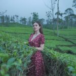 Wulan Guritno Instagram - Mba Rahayu ucapkan TERIMA KASIH buat antusias 213.464 Yang sudah menonton @filmtrinil 🤍 Yang belom ke bioskop yuk temenin mba Ayu mencari tubuhnya 👻 Yang gak ke bioskop aku samperin ya pas tidur dalam bentuk yg di slide - 4 👻👻 #filmtrinil #KembalikanTubuhku #baleknogembungku