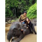 Wulan Guritno Instagram - RIP GAJAH KAPTEN RAHMAN YANG DI RACUN DAN AMBIL GADINGNYA 🥀 Saat kami berkunjung ke taman nasional TESSO NILO bertemu Elephant Flying Squad / tim patroli gajah yang terdiri dari mahout / pawang dan gajah terlatih Dan RAHMAN yang di racun dan ambil gadingnya adalah kapten nya. Mereka bertugas menggiring gajah liar yang memasuki kebun masyarakat kembali ke habitatnya . Sehingga mengurangi konflik antara manusia & gajah Mereka yg menjaga ekosistem bumi. Yg menjaga konflik manusia dah gajah. Yg menjaga kelangsungan hidup masa depan kedua belah pihak. ___________________________________________________ Turut berdukacita atas kepergian Gajah Rahman @btn_tessonilo. Kami yang pernah bertemu juga turut merasa sangat sedih. Kami mendukung @gakkum_klhk untuk mengusut tuntas hingga pembunuhnya tertangkap dan mendapat ganjaran yang sesuai. Jangan biarkan terjadi lebih banyak lagi konflik antara manusia dan gajah. Tesso Nilo National Park