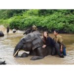 Wulan Guritno Instagram - RIP GAJAH KAPTEN RAHMAN YANG DI RACUN DAN AMBIL GADINGNYA 🥀 Saat kami berkunjung ke taman nasional TESSO NILO bertemu Elephant Flying Squad / tim patroli gajah yang terdiri dari mahout / pawang dan gajah terlatih Dan RAHMAN yang di racun dan ambil gadingnya adalah kapten nya. Mereka bertugas menggiring gajah liar yang memasuki kebun masyarakat kembali ke habitatnya . Sehingga mengurangi konflik antara manusia & gajah Mereka yg menjaga ekosistem bumi. Yg menjaga konflik manusia dah gajah. Yg menjaga kelangsungan hidup masa depan kedua belah pihak. ___________________________________________________ Turut berdukacita atas kepergian Gajah Rahman @btn_tessonilo. Kami yang pernah bertemu juga turut merasa sangat sedih. Kami mendukung @gakkum_klhk untuk mengusut tuntas hingga pembunuhnya tertangkap dan mendapat ganjaran yang sesuai. Jangan biarkan terjadi lebih banyak lagi konflik antara manusia dan gajah. Tesso Nilo National Park