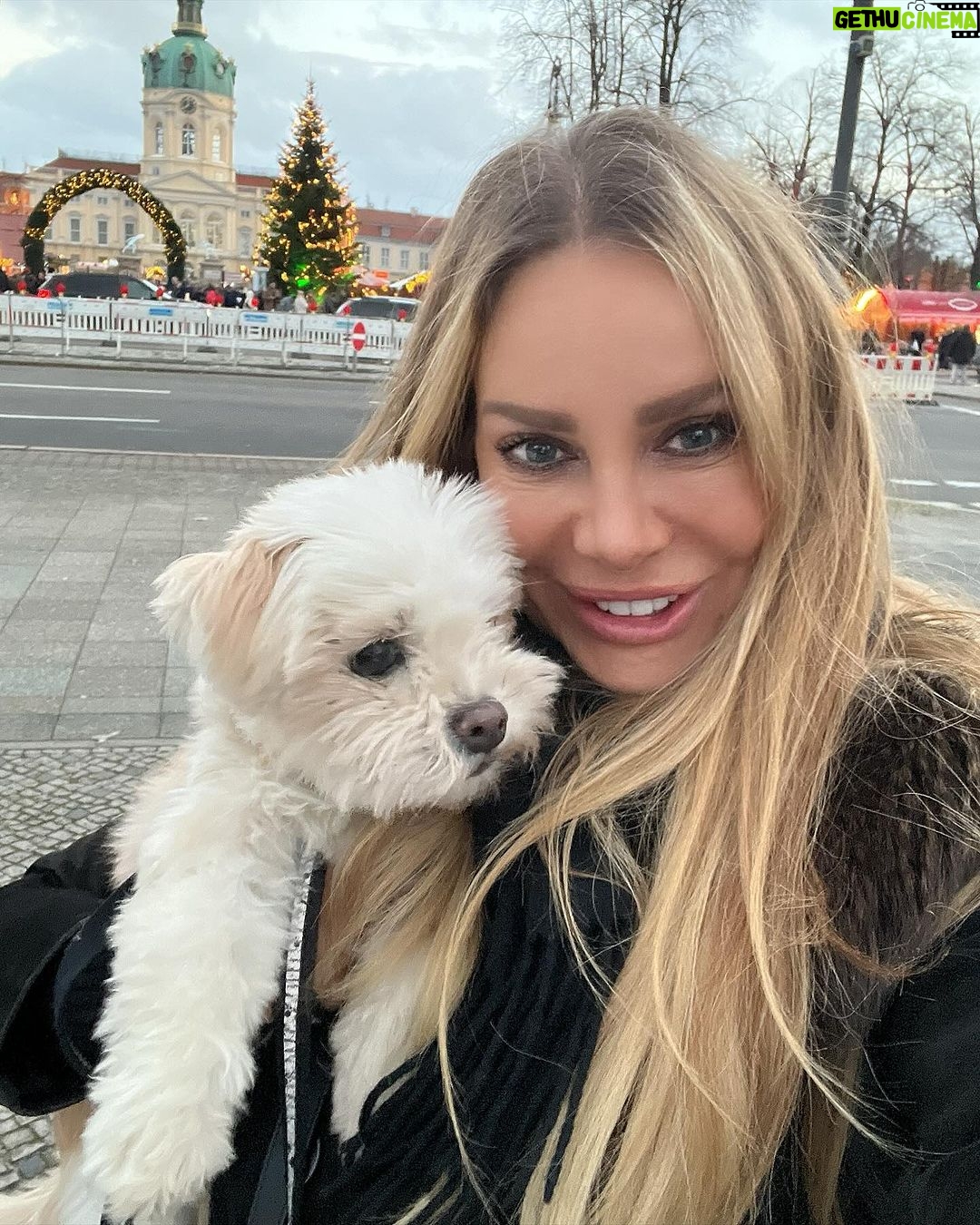 Xenia Seeberg Instagram - Happy new year ihr Lieben. Dankeschön dass so viele von Euch nachgefragt haben: Haluna geht es wieder besser und ist auch mit 11 Jahren nun bereit für neue Abenteuer in 2024! Happy new year my dear friends. Thank you for your many wishes: yes Haluna is doing much better and she is now at the age of 11 ready for new adventures in 2024. #happynewyear #bolonkazwetna #bolonkalove #bolonka #lovemydog #bestager #enjoythelittlethings #enjoythemoment Schloss Charlottenburg