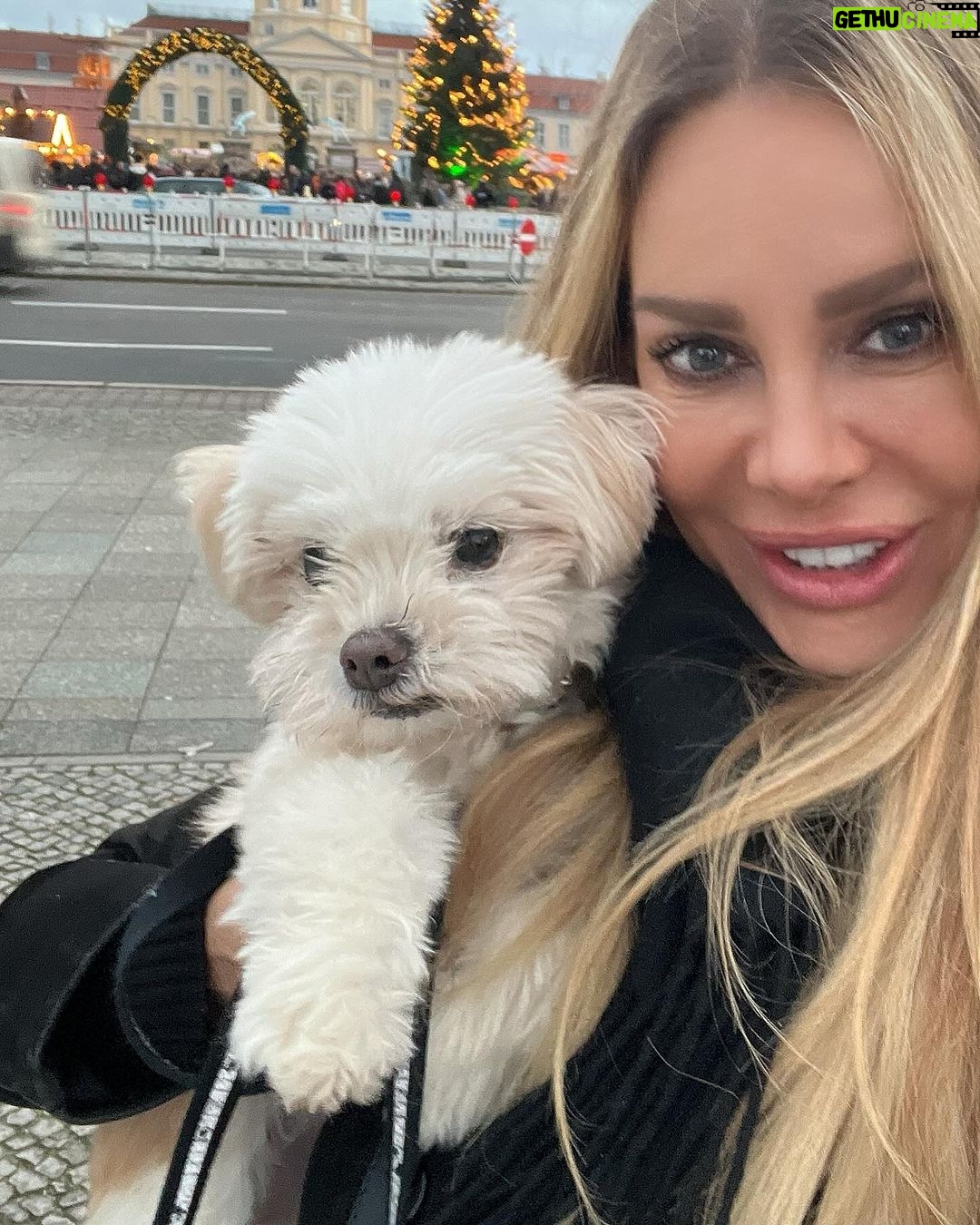Xenia Seeberg Instagram - Happy new year ihr Lieben. Dankeschön dass so viele von Euch nachgefragt haben: Haluna geht es wieder besser und ist auch mit 11 Jahren nun bereit für neue Abenteuer in 2024! Happy new year my dear friends. Thank you for your many wishes: yes Haluna is doing much better and she is now at the age of 11 ready for new adventures in 2024. #happynewyear #bolonkazwetna #bolonkalove #bolonka #lovemydog #bestager #enjoythelittlethings #enjoythemoment Schloss Charlottenburg