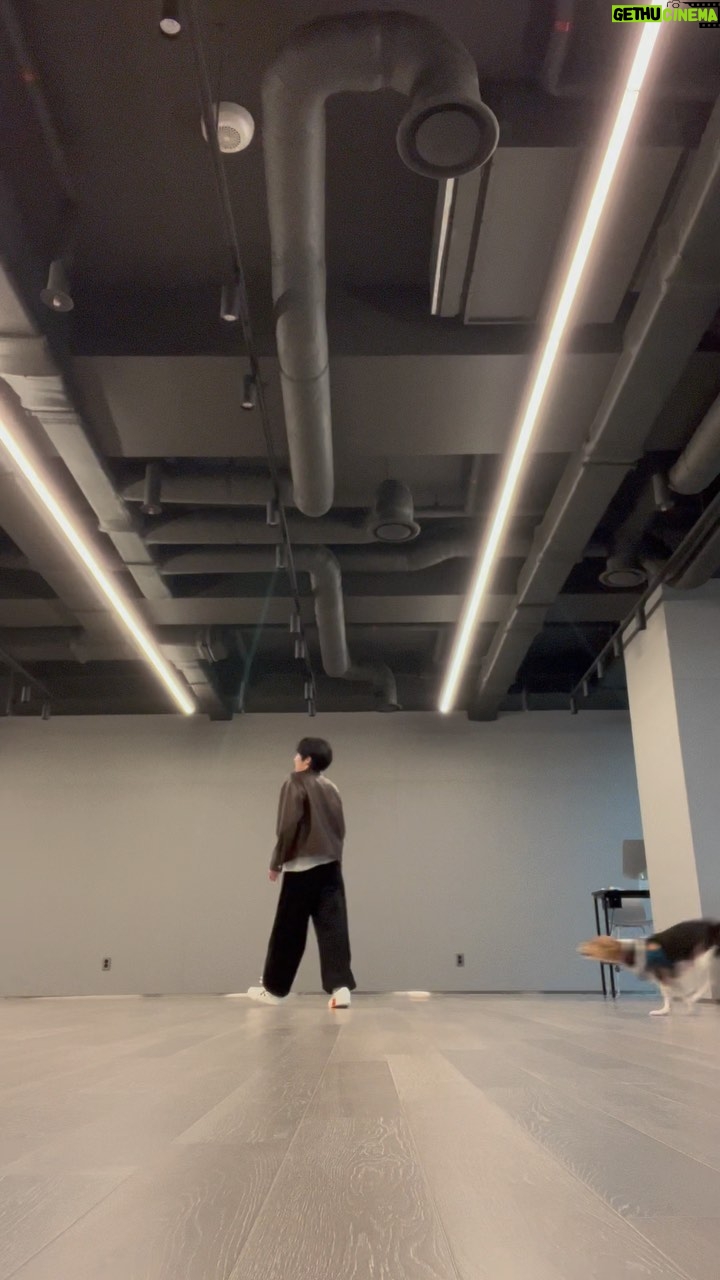 Xiaojun - 1.1 Million Likes - I was not joking, come and see Bella's growl haha