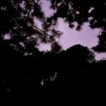Xu Mengjie Instagram – .✰•. ☾⋆