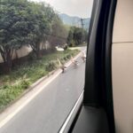 Xu Mengjie Instagram - 💨🚗🪿～