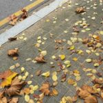 Xu Mengjie Instagram - ॰ ¨̮ 🍂🐿 ⋆ ｡🥨˚☕️