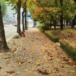 Xu Mengjie Instagram - ॰ ¨̮ 🍂🐿 ⋆ ｡🥨˚☕️
