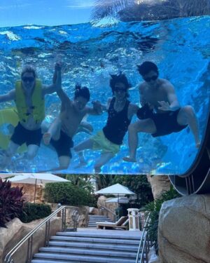 The 8 Instagram - 🐳
