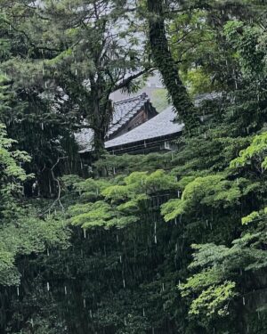 The 8 Instagram - 雨