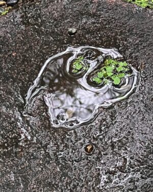The 8 Instagram - 雨