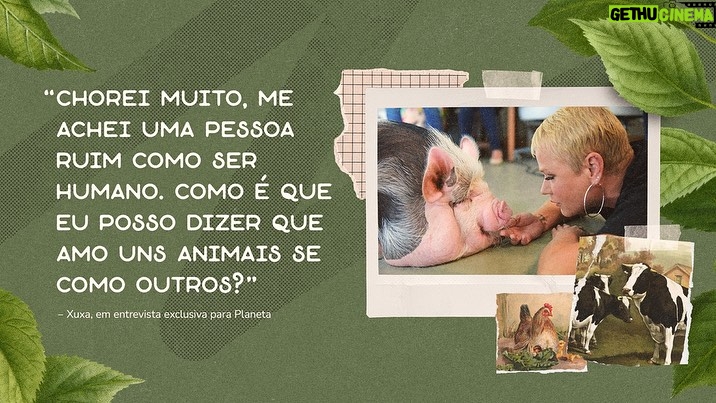 Xuxa Instagram - Entrevista imperdível para o @terrabrasil sobre veganismo e amor pelos animais 💚🐔 Link na BIO 📸 @bladmeneghel Equipe X
